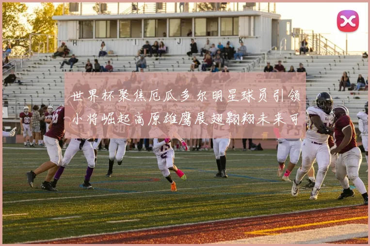 世界杯聚焦厄瓜多尔明星球员引领小将崛起高原雄鹰展翅翱翔未来可期