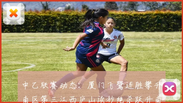 中乙联赛动态：厦门飞鹭连胜攀升南区第三江西庐山读秒绝杀跃升南区第四