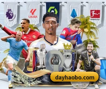 好博体育 APP | haobosports